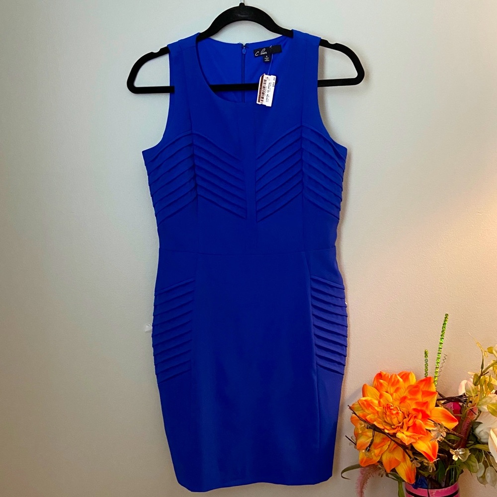 C. Price Royal Blue Dress NWT - Picture 1 of 8
